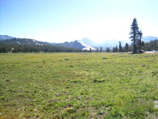 Backpacking Yosemite 2010