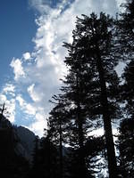 Afternoon shower clouds rolling in