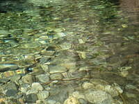 The rocks in the water looked so lovely.