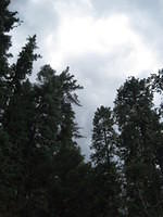 Thunderstorm rolling in over our campsite