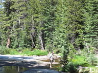 Cooling off and washing up in the creek