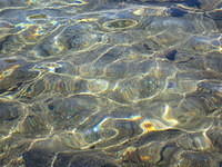 I loved watching the ripples reflect in the sun while we pumped water so I couldn't pass up taking these photos.