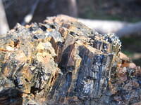 A cool rock that looked like mini Devil's Postpile