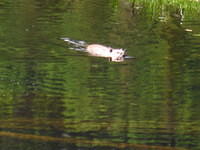 IMG_7513.JPG