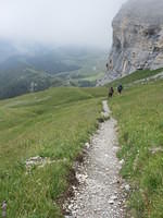 IMG 6151