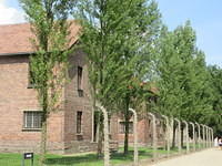 IMG 7753