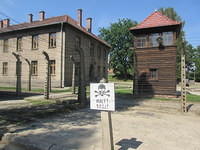 IMG 7781