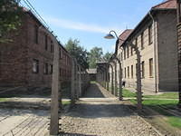 IMG 7782