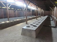 IMG 7806