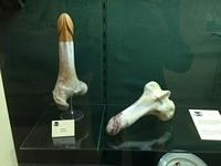 IMG_1522.JPG