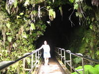 Entrance to a lava tube