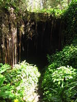 The entrance to one of the Kaumana Caves (lava tubes).