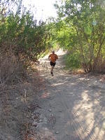 IMG_4009.JPG