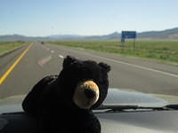 Ursa & I kept each company on the long boring drive through Nevada & Utah while Mickey slept.