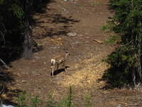 IMG_1438.JPG