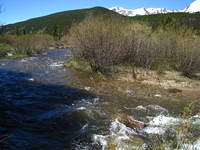 IMG_1446.JPG
