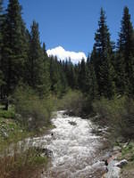 IMG_1453.JPG