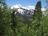IMG_1471.JPG