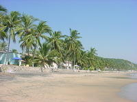 manzanillo 055.jpg