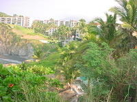 manzanillo 083.jpg