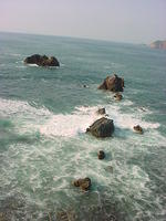 manzanillo 086.jpg