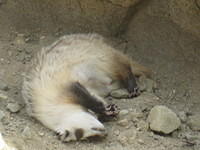 IMG_6888.JPG
