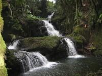 Onomea Falls in the Botanical Gardens