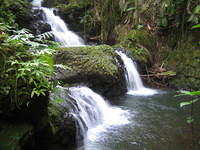 Onomea Falls