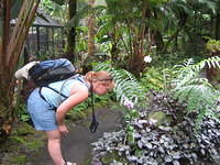 Kim checking out the orchids