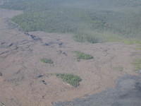 Forest destroyed by lava