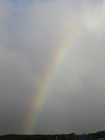 Rainbow near Waimea