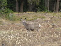 IMG_2077.jpg