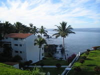 IMG_5185.jpg