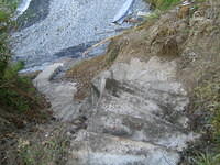 IMG_5260.jpg