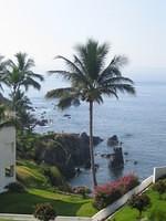 View from the patio