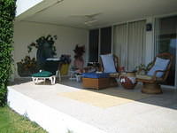 Mickey sobering up on the porch after his first night in Manzanillo.